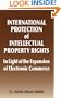 International Protection of Intellectual Property Rights: In Light of the Expansion of Electronic Commerce