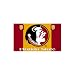 Florida State NCAA Premium 11 x 18 Two-Sided Car Flag by BSI Products Inc.