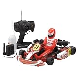 Kyosho 1/5 GP15 2wd Birel R31-SE W/GZ-15 Engine KYO31315T1B