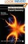 Introducing Fractal Geometry