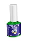 Vernis à Ongles Fantaisie Vert Emeraude