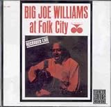 Review Big' Joe Williams  / Big Joe Williams at Folk City