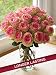Two Dozen Crown Majesty Roses