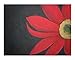 Red Gerbera Botanical Giclee Poster Print by Sue Cook, 10x8