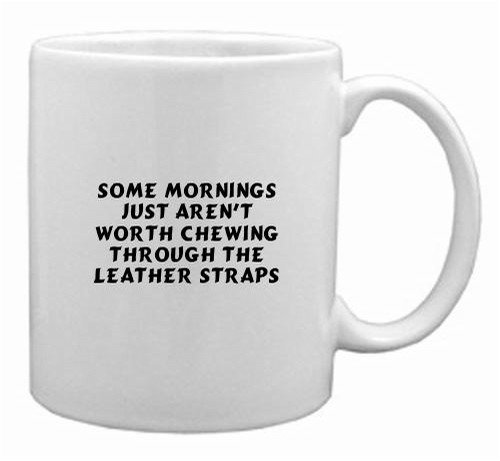 Some mornings just aren
