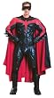 Ultra Supreme Edition Adult Robin Costume