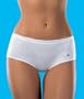 Champion Mesh Modern Brief Panty