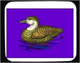Decorated Mouse Pad with bird, floating, sea, duck