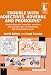 Trouble with Adjectives, Adverbs and Pronouns?: Guided Discovery Materials, Exercises and Teaching Tips at Elementary and Intermediate Levels (Copycats)