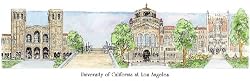 UCLA - Collegiate Scenes - 9 x 18 Inch