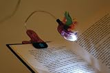 Wesco Disney Fairies Book Light