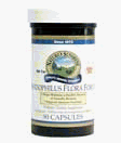 BIFIDOPHILUS FLORA FORCE (90)