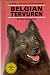 Belgian Tervuren