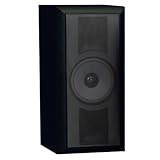 THIEL SCS4 in Black Ash High Performance Surround Bookshelf or Stand Loudspeaker (Front/Center, Single, Black Ash)