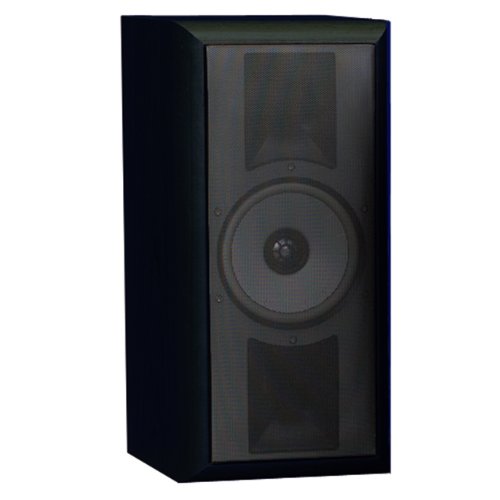 THIEL SCS4 in Black Ash High Performance Surround Bookshelf or Stand Loudspeaker (Front/Center, Single, Black Ash) THIEL SCS4 in Black Ash High Performance Surround Bookshelf or Stand Loudspeaker (Front/Center, Single, Black Ash)