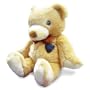 SVAT UC1300 Wireless Nightvision Hidden Camera in a Teddy Bear (Color)