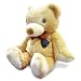 SVAT UC1300 Wireless Nightvision Hidden Camera in a Teddy Bear (Color)
