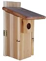 Stovall 2HU Ultimate Bluebird House