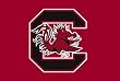 University of South Carolina Gamecocks Indoor/Outdoor Floormat