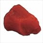 One-pound Muscle Replica