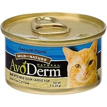 avoderm cat food