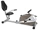 Stamina 15-4825 Magnetic Resistance Recumbent Bike
