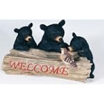 Black Bear