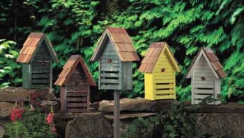 Heartwood Lady Bug House Yellow