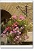 Hi-Touch Imaging 87.P8301.021 Paper Photo 5X7 30 Pk