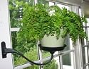 Window Garden Pot & Sconce Set