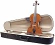 Palatino VN-440 Fiore Violin Outfit, 3/4 Size