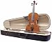 Palatino VN-440 Fiore Violin Outfit, Full Size