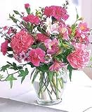 Cheerful Carnations