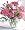 Cheerful Carnations, Premium