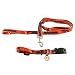 PET SET-LARGE -CHI BEARS - Large