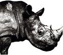 Mr.Children 1992-1995