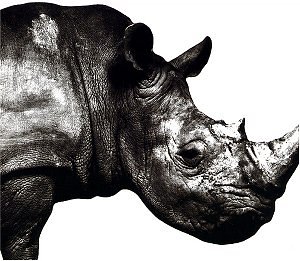 Mr.Children 1992-1995