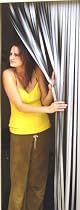 Heavy Duty Bug Blind,Fly Blind,Strip Blind, Door Blind-SILVER SCREEN BLIND