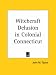 Witchcraft Delusion in Colonial Connecticut