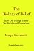 The Biology of Belief