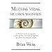Muchas vidas, muchos maestros (Millenium)