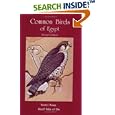 Common Birds of Egypt by Bertel Bruun