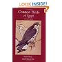 Common Birds of Egypt