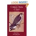 Common Birds of Egypt