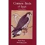 Common Birds of Egypt