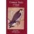 Common Birds of Egypt
