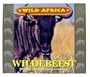 Wild Africa - Wildebeest