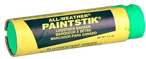All Weather Paint Stik - Hot Green