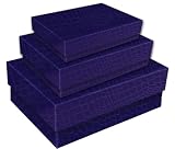 Aurora Products "ProFormance" Storage Box Assortment, Small-Medium-Large Boxes, 11.5 x 8.88 x 3.75 Inches, Purple Croc/Blackberry (09369-6)