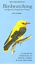 Birdwatching on Spain's Southern Coast